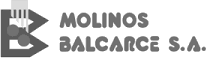 Molinos Balcarce S.A.